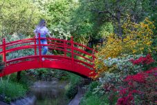 BBTE a közösségben: teret alakítanak ki a látássérült személyek számára a kolozsvári botanikus kertben