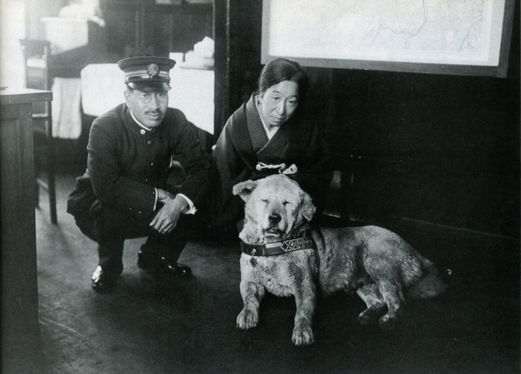 Száz éve született Hacsikó, a legendás akita, aki kilenc éven át várta haza gazdáját egy vasútállomáson