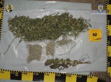 Kannabiszt termesztettek Szépvízen és Csíkszentimrén, Székelyudvarhelyen is árulták
