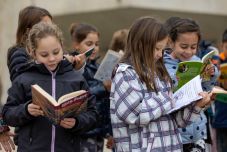 Mecénás köröztetik…