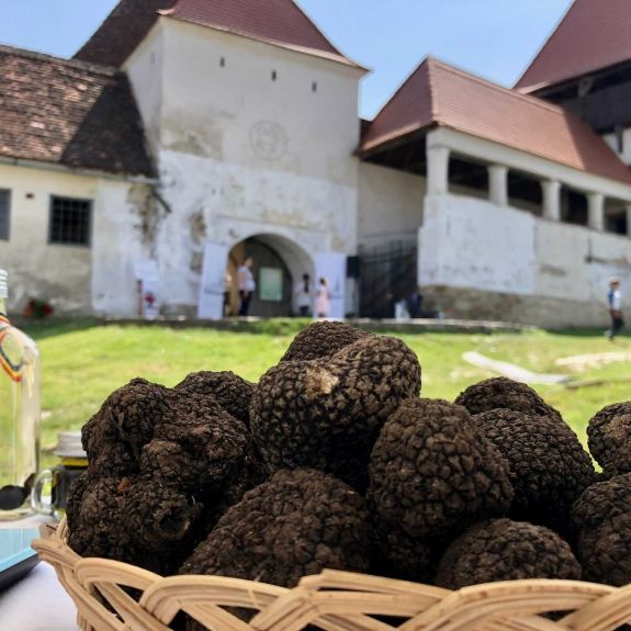 Elképesztő összeget fizettek ki egy szarvasgombáért