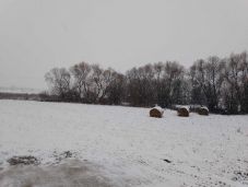 Hóviharok és havazás Kovászna és Hargita megyében is