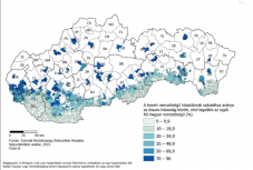 Tíz szlovák–magyar vegyes házasságból mindössze kettőben nevelnek magyar gyermeket