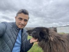 Állatvédő pártot alapított egy brassói politikus