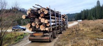 Egy kamion lopott faanyagot foglaltak le Kommandón