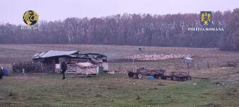 Tizenhárom éves gyermeket adtak el szülei rabszolgamunkára két brassói esztenára