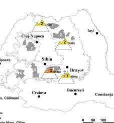 Lavinaveszély a Fogarasi-havasokban, lezárták az összes turistautat
