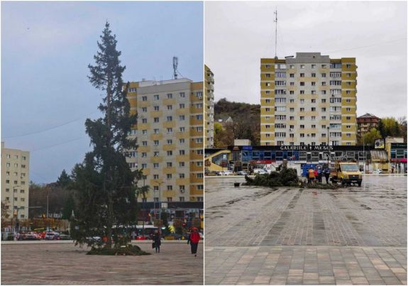 Előbb felállították, majd összevágták tűzifának Zilah ünnepi fenyőjét