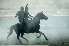 Nemzeti Vágta – Vasárnap döntő Szilvásváradon