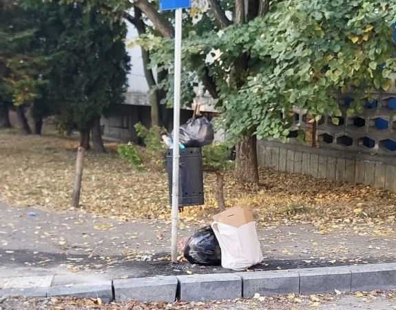 Érthetetlen: miért dobják a sarki kukába a háztartási hulladékot?