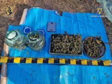 Családi drogkereskedés: egy férfi kannabiszt termesztett és kiskorú unokaöccse eladta