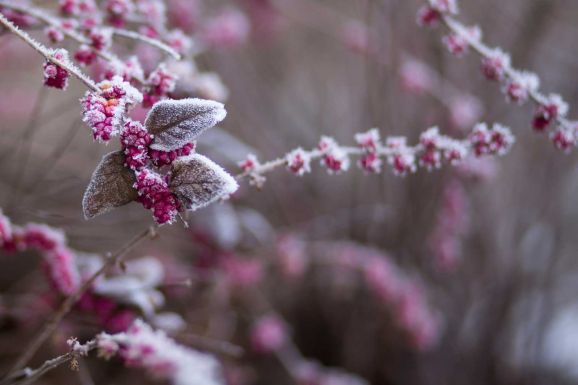 Fagyos volt a reggel Csíkszeredában, mínusz 6 Celsius-fokot mértek