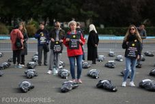 Újra az egészségügyi miniszter lemondását kéri az USR, ezúttal a rákellenes terv késlekedése miatt