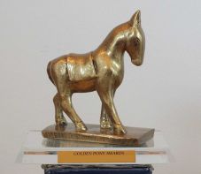 Elismerés: a szejkei Mini Erdély Park díjat nyert Olaszországban