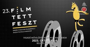 Filmtettfesztivál a kézdivásárhelyi Vigadóban