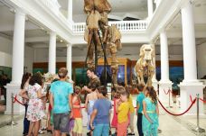 Törvénytervezet: ingyenesen látogathassák az iskolások a múzeumokat, koncerteket és előadásokat