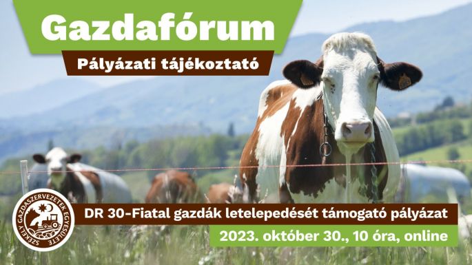 Online gazdafórum: szakemberek segítenek a pályázóknak