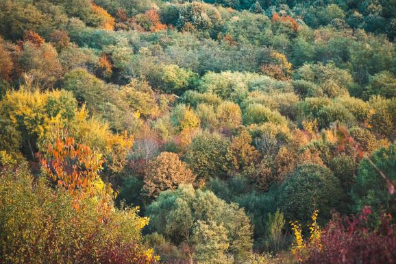 Négyhetes előrejelzés: novemberben melegebb lesz a megszokottnál