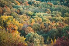 Négyhetes előrejelzés: novemberben melegebb lesz a megszokottnál