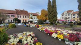 Mindenszentek-napi virágvásár Kézdivásárhelyen
