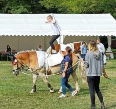 Sikeresen szerepelt Erdély egyetlen csapata a rangos fóti lovasversenyen
