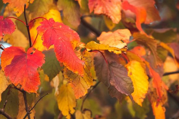 Szeles időjárásra figyelmeztetnek a meteorológusok, jön a lehűlés