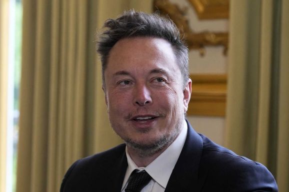 Musk és a népszavazás