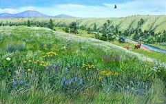 Túlélhette a jégkorszakot a Kárpát-medence növényfajtáinak zöme