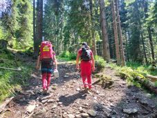 Bivalyok elől menekülő turisták kértek segítséget a máramarosi hegyimentőktől