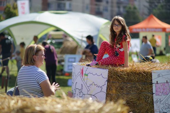Városi tehénbőgés - kilencedik alkalommal költözött be a falu Csíkszeredába