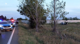 Autótolvajt vettek üldözőbe a rendőrök, a tettes a mezőn „landolt”