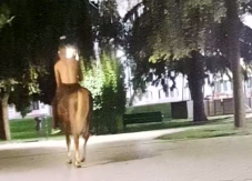 Részeg lovas vágtázott Sepsiszentgyörgy főterén (VIDEÓ)