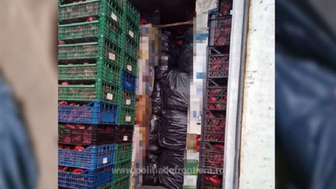 Négy tonna dohányra bukkantak a paprikás ládák mögött