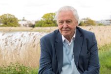 97 évesen visszatér a képernyőkre David Attenborough természettudós