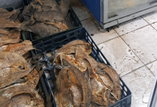 „Szankciódús” nyarat zártak a tengerparton