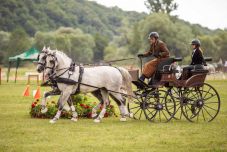 Pályázhatnak magyar kormány-támogatásra a Kárpát-medencei lovasok