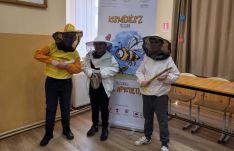 Elindult a Kisméhész program
