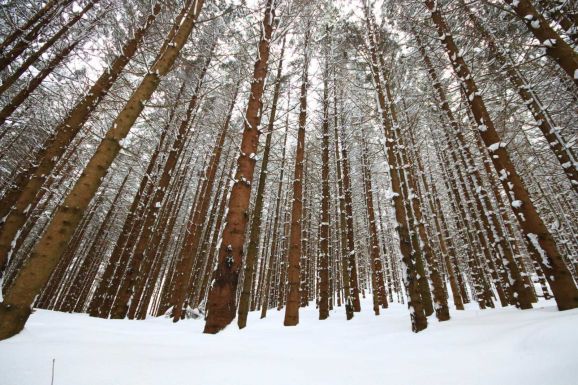 Sűrű havazásra figyelmeztetnek a meteorológusok