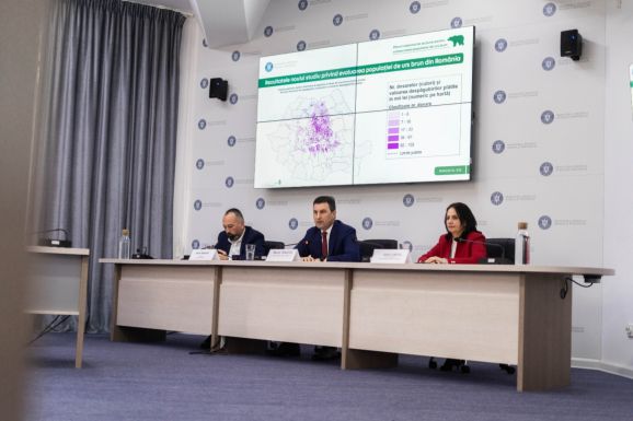 „A medvét nem a faluban vagy a kukoricásban kell védeni”