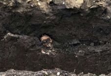 Vélhetően emberi csontokra bukkantak Déva központjában