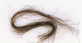 Már háromezer évvel ezelőtt is használtak kábítószert