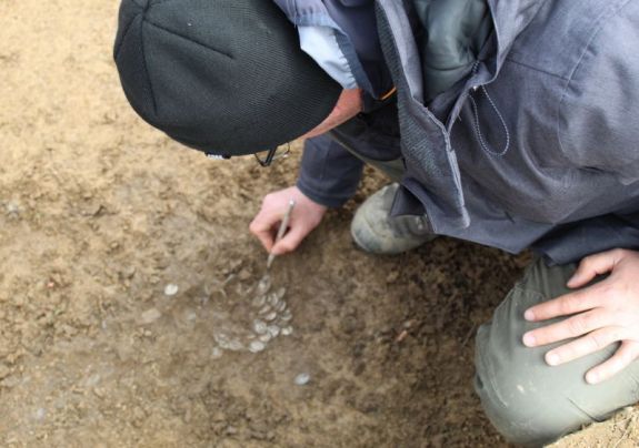 Egy híján hatszáz római ezüstpénz került elő egy borossebesi fémdetektoros kutatónak köszönhetően