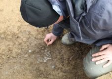 Egy híján hatszáz római ezüstpénz került elő egy borossebesi fémdetektoros kutatónak köszönhetően