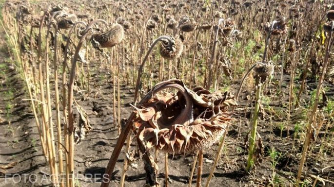 Léggömbökkel, speciális repülőgépekkel és esőgenerátorokkal fakasztanánk vizet a felhőkből