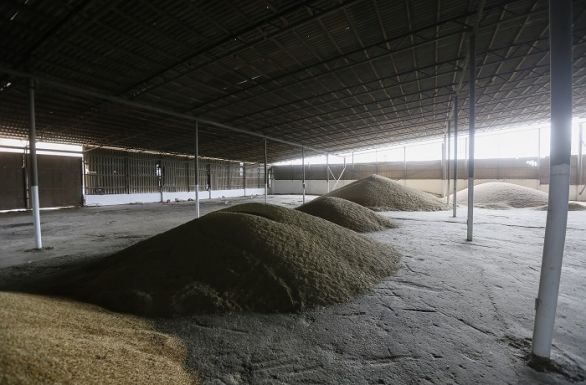 EU: elfogadhatatlan a lengyel és a magyar kormány döntése az ukrán gabonaimport ügyében