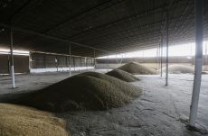 EU: elfogadhatatlan a lengyel és a magyar kormány döntése az ukrán gabonaimport ügyében