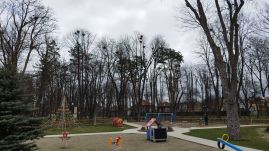 Nem szabadult meg a varjaktól Kézdivásárhely