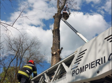 Személyemelő kosárból mentettek ki egy férfit az aradi tűzoltók