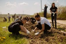 Kétezer fát ültetett el az Electric Castle csapata a fesztivál területén