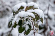 Havazik a Radnai-havasokban, akadozik a forgalom a Borsai-hágónál